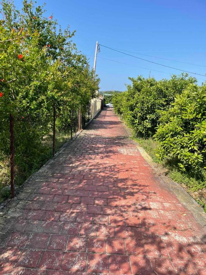 באר Villa Nilic מראה חיצוני תמונה